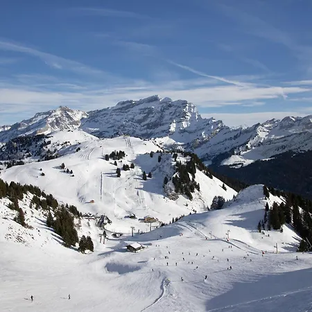 Mandarin 7 By Interhome Διαμέρισμα *