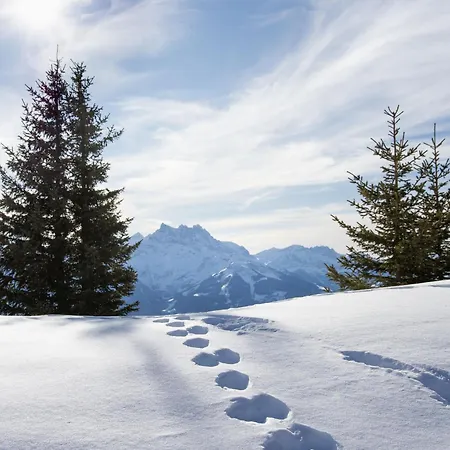 Mandarin 7 By Interhome * Villars-sur-Ollon