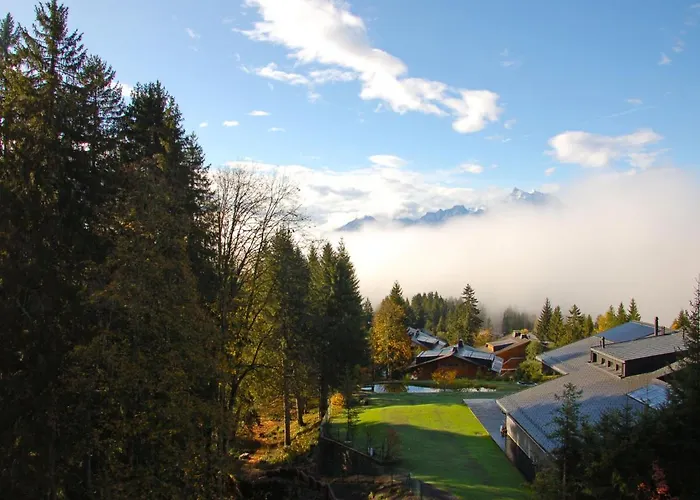 Mandarin 7 By Interhome