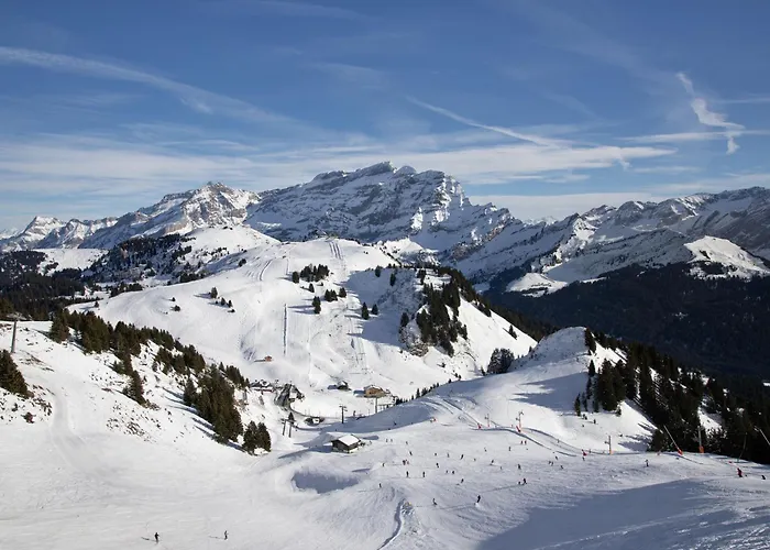 Mandarin 7 By Interhome Lejlighed *