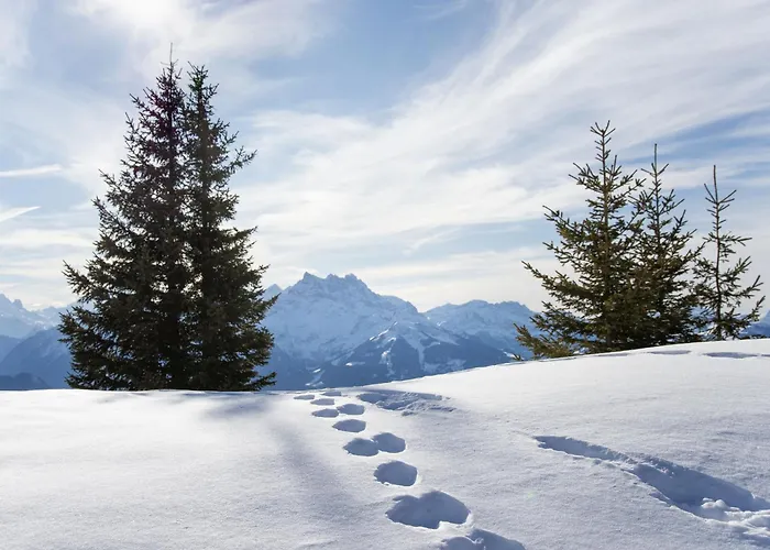 Mandarin 7 By Interhome * Villars-sur-Ollon